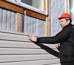 Best Siding for New Construction  in Shoshone, ID